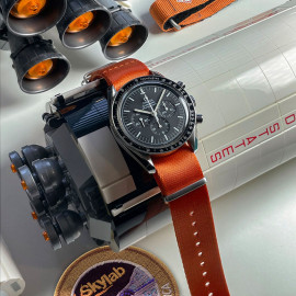 THE PARADE: SKYLAB STRAP